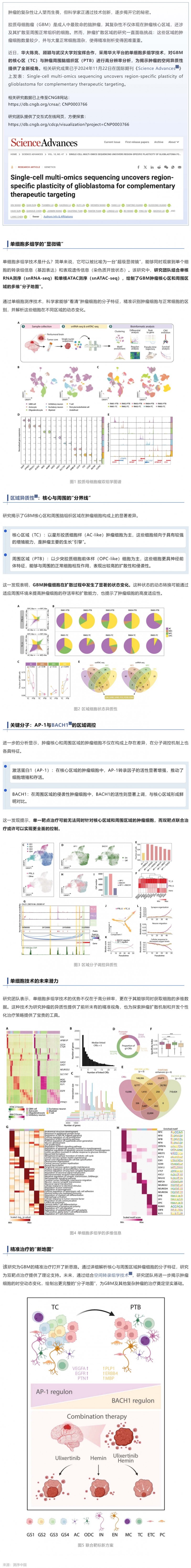 Sci Adv _ 陳亮_劉寶輝_顧穎利用單細(xì)胞多組學(xué)探秘膠質(zhì)瘤的空間異質(zhì)性