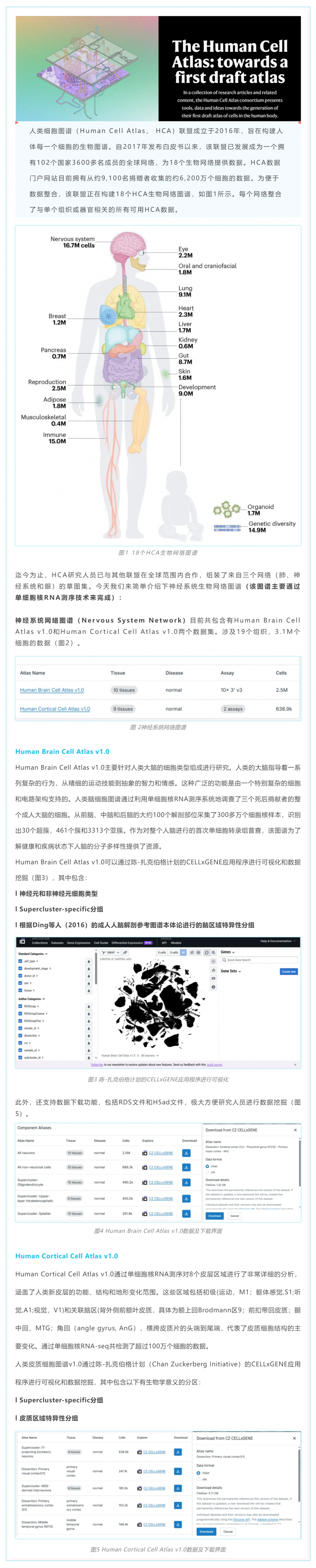 人類(lèi)細(xì)胞圖譜計(jì)劃草圖第一版完成——神經(jīng)系統(tǒng)細(xì)胞圖譜