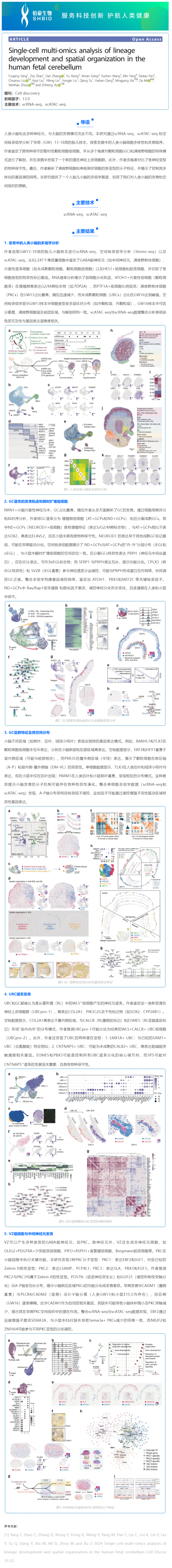 華大 DNBelab C 系列 _ 單細胞多組學解析人胎兒小腦神經(jīng)細胞發(fā)育和空間結(jié)構(gòu)