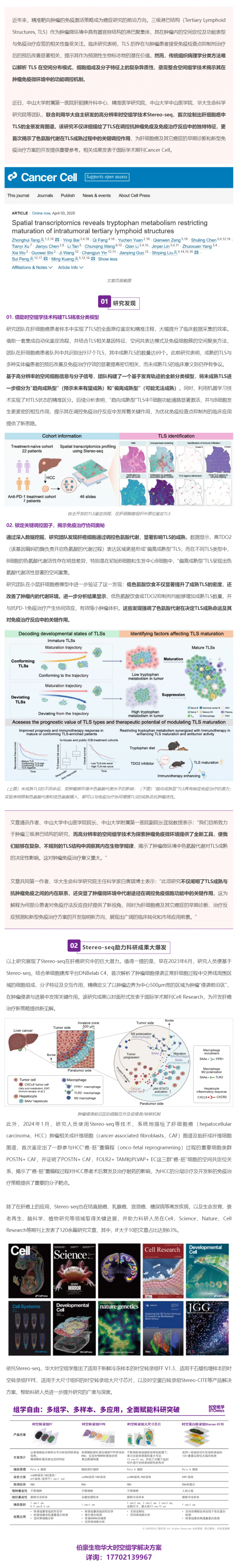 Cancer Cell _ 首個(gè)肝細(xì)胞癌中 TLS 的全景發(fā)育圖譜！Stereo-seq 助力肝癌研究再獲