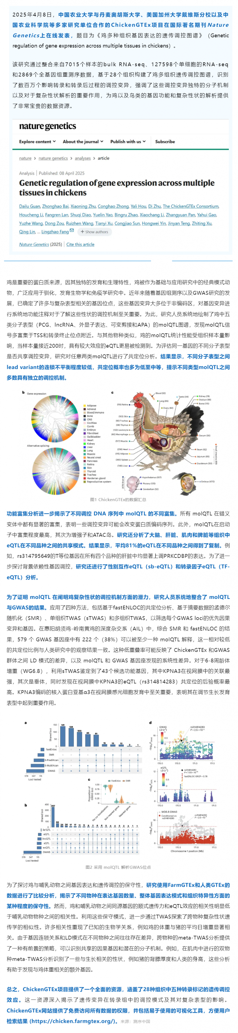 Nat Genet 丨中國農(nóng)業(yè)大學(xué)等多國團隊繪制雞多組織遺傳調(diào)控圖譜