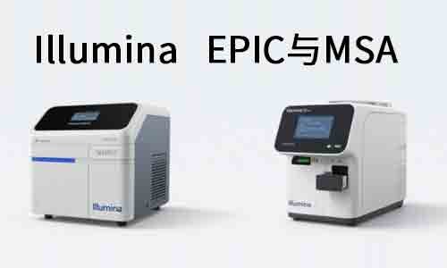 甲基化芯片平臺怎么選？Illumina EPIC 與 MSA 的全面對比與應用指南