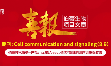 單細胞項目文章 | 慢性阻塞性肺疾病患者中肺腺癌患者對免疫治療的增強反應(yīng)：對腫瘤細胞和免疫微環(huán)境特征的見解