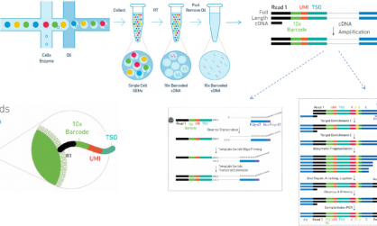 GEM- X 引領(lǐng)單細胞 RNA-seq 技術(shù)創(chuàng)新