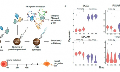 多組學合集 |Olink 蛋白組學聯合單細胞 RNA 檢測解析細胞新奧秘