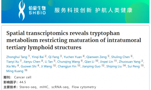文獻解讀 | 空間轉錄組學揭示色氨酸代謝調控瘤內三級淋巴結構的成熟