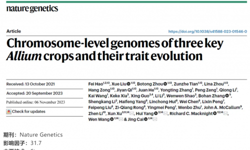 文獻解讀︱三種主要蔥屬作物的染色體水平基因組及其性狀進化