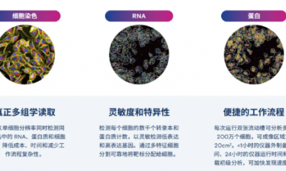 5D 原位多組學(xué) AVITI24 靶向 panel——神經(jīng)科學(xué)