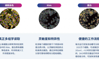 5D 原位多組學 AVITI24 靶向 panel——MAPK 細胞周期 / 細胞凋亡信號通路 panel