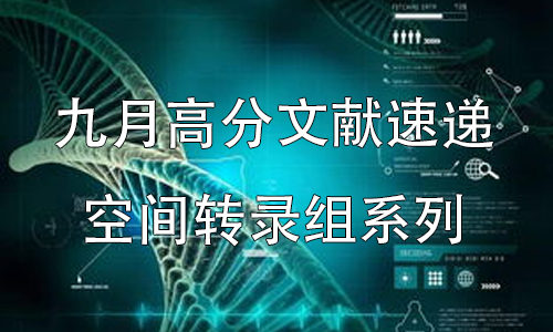 九月高分文獻速遞 | 空間轉錄組系列