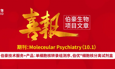 單細胞核項目文章︱Nature 子刊 - 小腦浦肯野細胞中 Bcl11a 缺失通過改變 Vav3 導致共濟失調和自閉癥樣行為