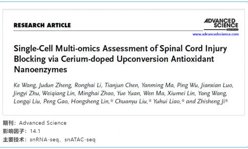 文獻(xiàn)解讀 | 通過鈰摻雜上轉(zhuǎn)換抗氧化納米酶阻斷脊髓損傷的單細(xì)胞多組學(xué)評估