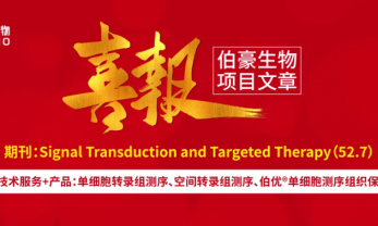 時空組學(xué)項目文章 | 時空多組學(xué)揭示 NAD 依賴的免疫抑制微環(huán)境驅(qū)動早期胃癌發(fā)生