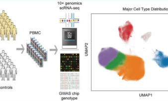 2025 頂刊文獻速遞 | 單細胞轉(zhuǎn)錄組系列（10 月）
