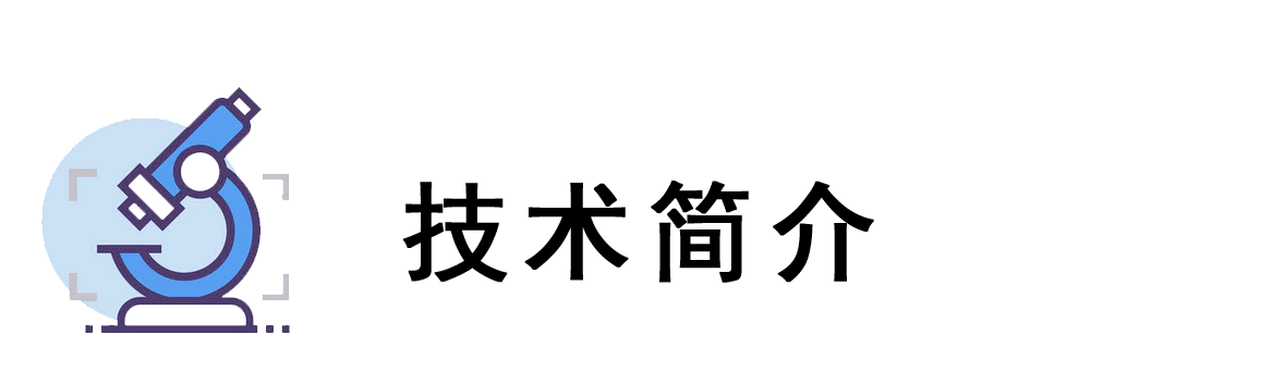 技術(shù)簡(jiǎn)介